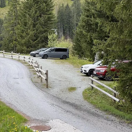 Daire Gantekopfhuette Myrelaxs Schwarzwaldschdub Sankt Gallenkirch